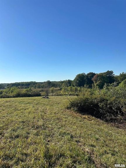 Land for sale in Pulaski County, Illinois