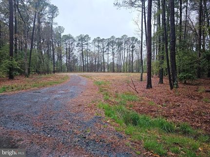 Homesite for sale in Talbot County, Maryland