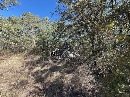Land for sale in Montague County, Texas