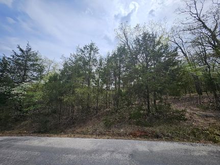 Land for sale in Taney County, Missouri