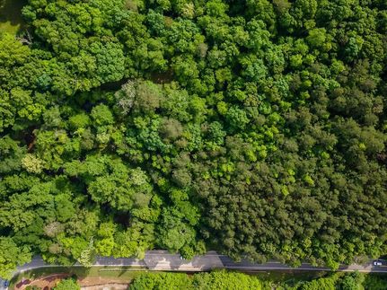 Homesite for sale in Fulton County, Georgia