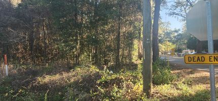 Land for sale in Gadsden County, Florida