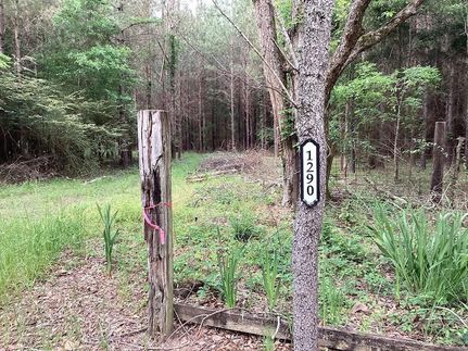 Land for sale in Houston County, Alabama