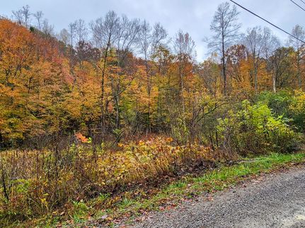 Land for sale in Campbell County, Tennessee