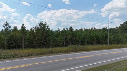 Land for sale in Orangeburg County, South Carolina