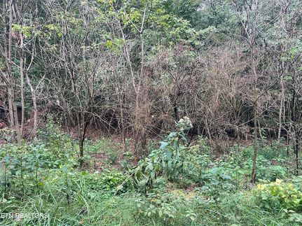 Land for sale in Roane County, Tennessee