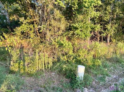 Land for sale in Ascension Parish, Louisiana