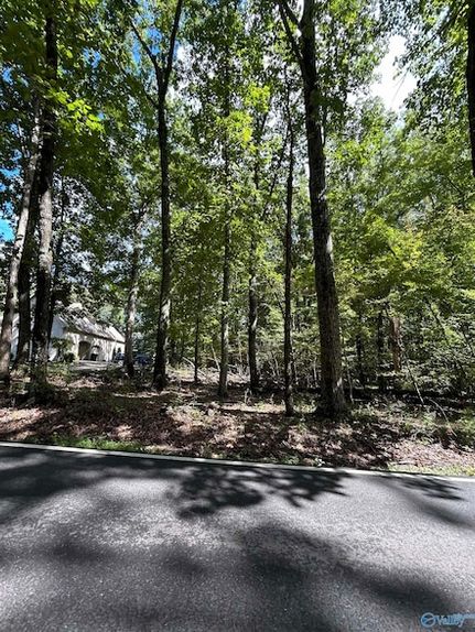 Land for sale in Madison County, Alabama