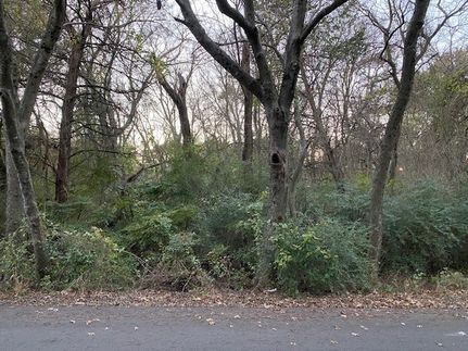 Homesite for sale in Dallas County, Texas