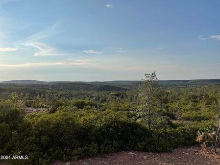 Land for sale in Navajo County, Arizona