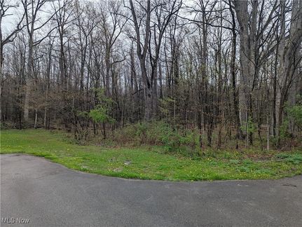 Undeveloped Land for sale in Mahoning County, Ohio