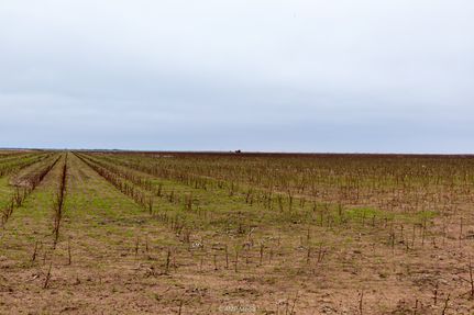 Land for sale in Haskell County, Texas