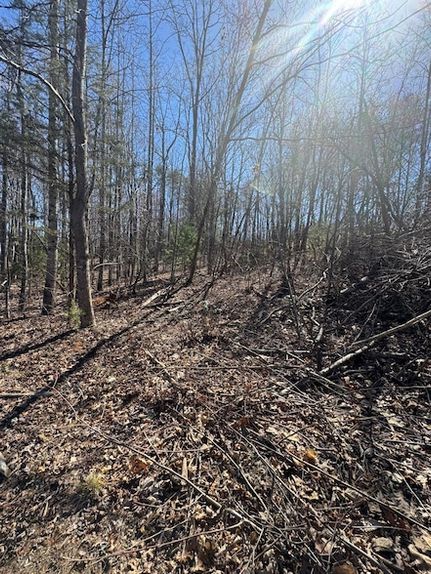 Homesite for sale in Franklin County, Virginia