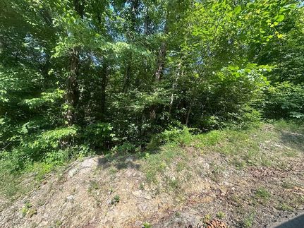 Homesite for sale in Clay County, Tennessee