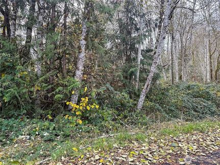 Land for sale in Thurston County, Washington