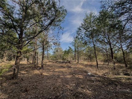 Land for sale in Burleson County, Texas