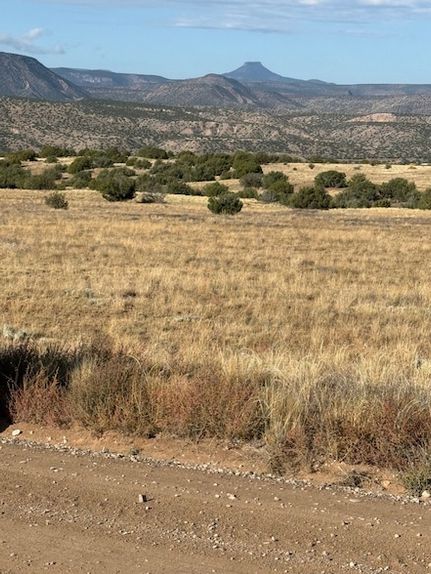 Land for sale in Rio Arriba County, New Mexico