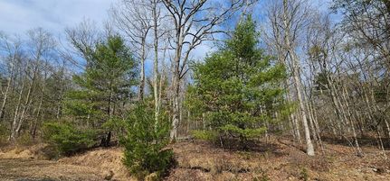 Land for sale in Sullivan County, New York