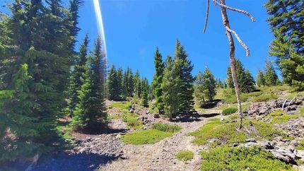 Land for sale in Siskiyou County, California