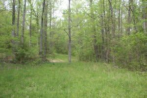 Land for sale in Newton County, Arkansas