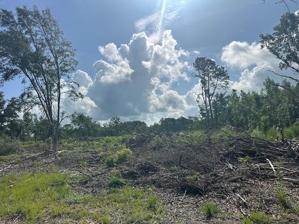 Land for sale in Dorchester County, South Carolina