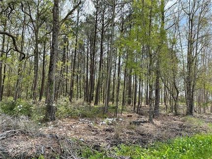 Land for sale in Saint Tammany Parish, Louisiana