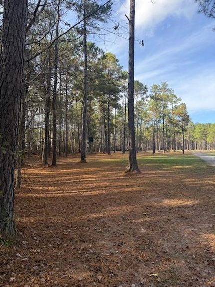 Land for sale in Dorchester County, South Carolina