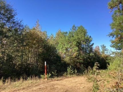 Undeveloped Land for sale in Nevada County, Arkansas