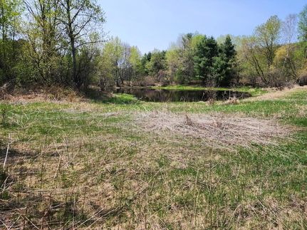 Land for sale in Forest County, Wisconsin