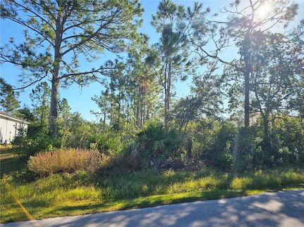 Land for sale in Flagler County, Florida