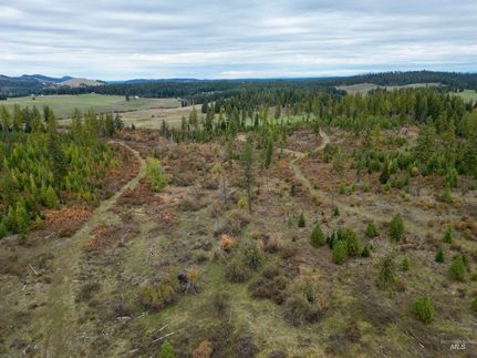 Land for sale in Idaho County, Idaho
