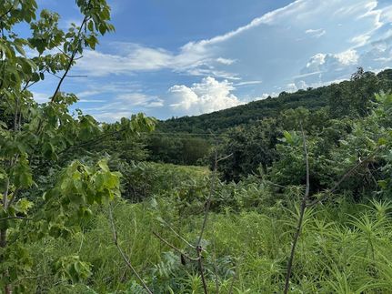Homesite for sale in Taney County, Missouri
