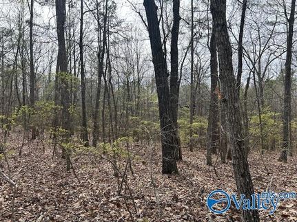 Land for sale in Morgan County, Alabama