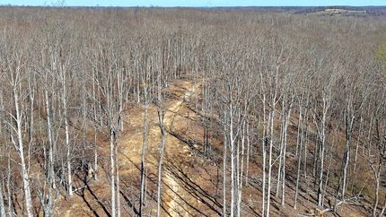 Land for sale in Dickson County, Tennessee