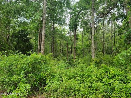 Land for sale in Jackson County, Mississippi