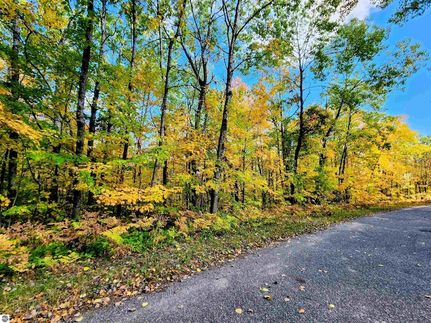 Homesite for sale in Antrim County, Michigan