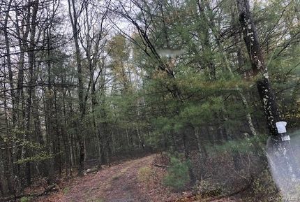 Land for sale in Sullivan County, New York