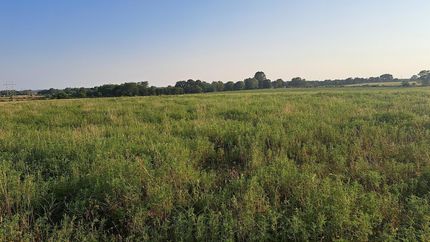 Land for sale in Christian County, Missouri