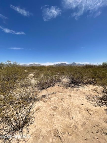 Undeveloped Land for sale in Dona Ana County, New Mexico