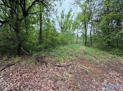 Land for sale in Lawrence County, Alabama