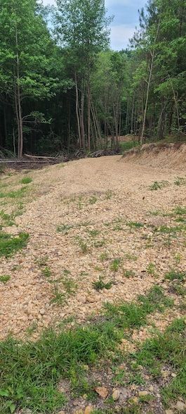 Homesite for sale in Marion County, Alabama