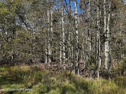 Homesite for sale in Monroe County, Pennsylvania