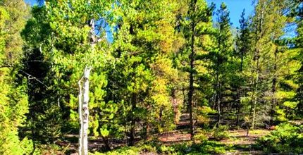 Land for sale in Gunnison County, Colorado