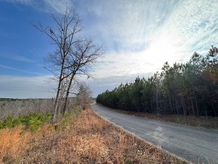 Land for sale in Marion County, Alabama