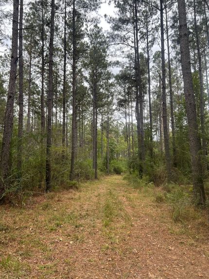 Land for sale in Walthall County, Mississippi
