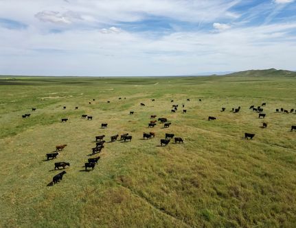 Undeveloped Land for sale in Kern County, California