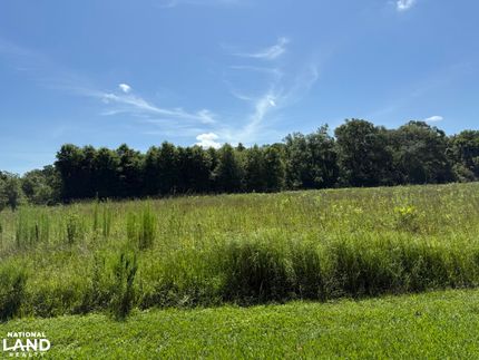 Land for sale in Richland Parish, Louisiana