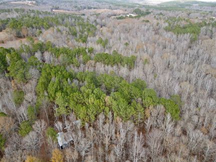 Land for sale in Clay County, Alabama