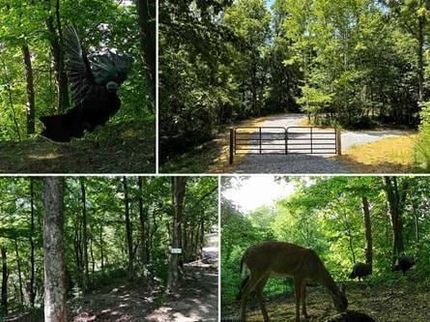 Land for sale in Meigs County, Ohio