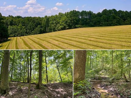 Land for sale in Vinton County, Ohio